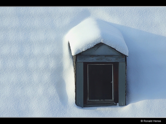 Winter - Winterfotos - Winterbilder - Schnee - Schneegaube
