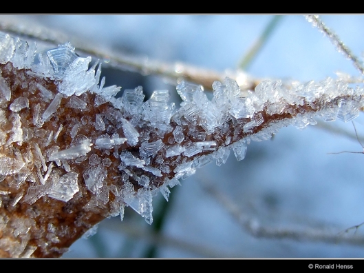 Fotos - Winterfotos - Winterbilder - Schneekristalle